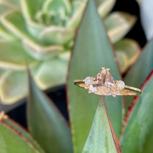 Rose Gold Double Claw Trilliant Cut Morganite With Diamond Shoulder Highlight Ring