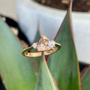Rose Gold Double Claw Trilliant Cut Morganite With Diamond Shoulder Highlight Ring