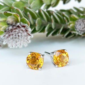 Silver 4 Claw Citrine Studs 7mm x 7mm