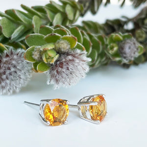 Silver 4 Claw Citrine Studs 7mm x 7mm