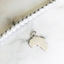 Silver Africa Map Charm