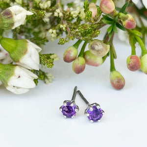 Silver Petite 6 Claw Amethyst Studs