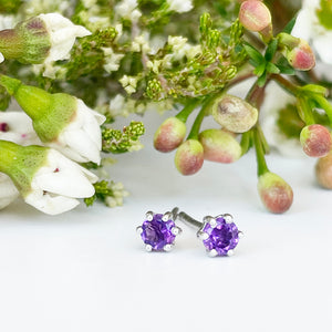 Silver Petite 6 Claw Amethyst Studs