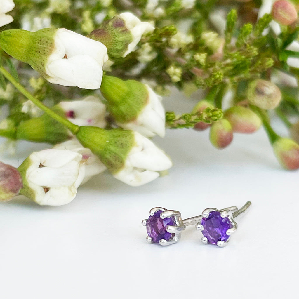 Silver Petite 6 Claw Amethyst Studs