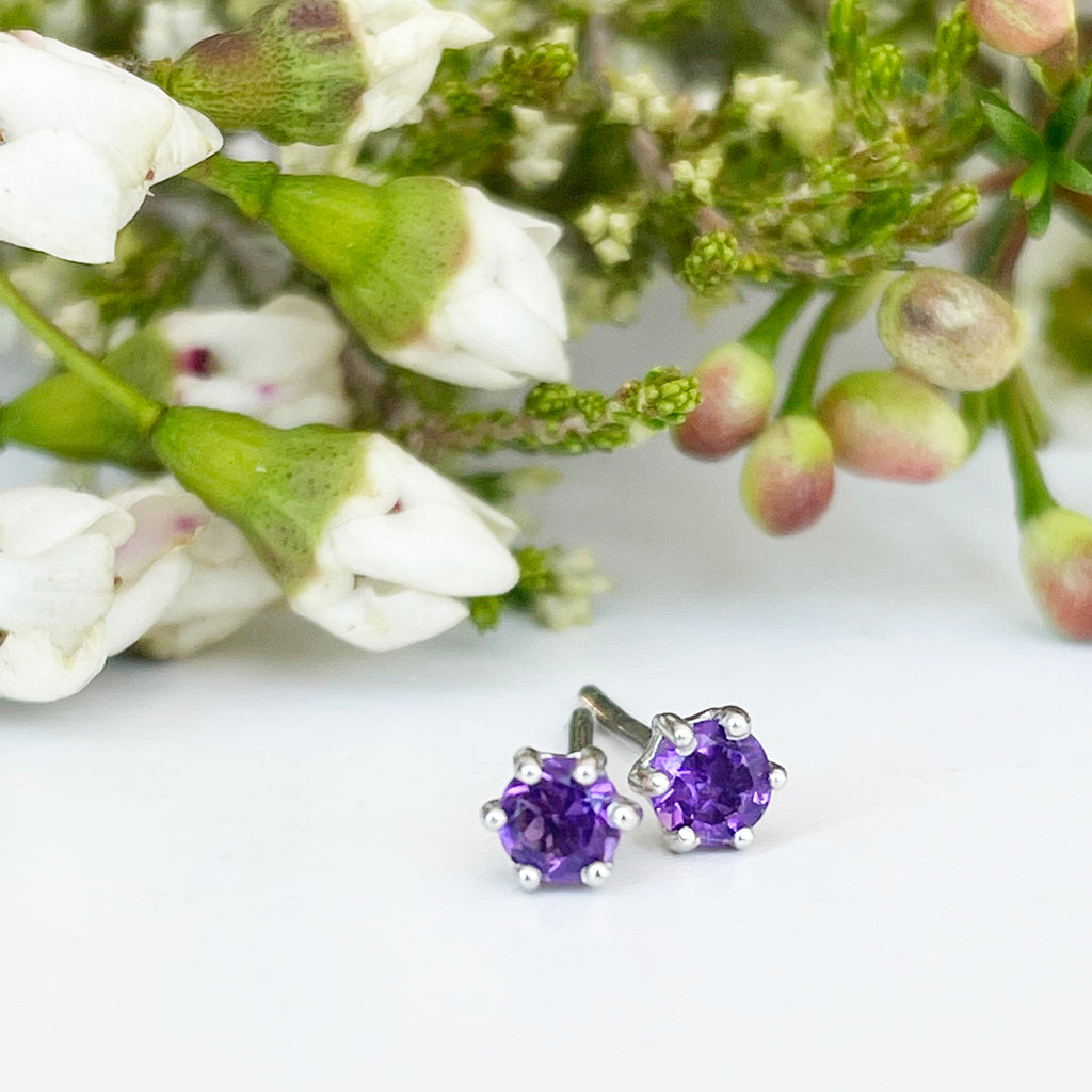 Silver Petite 6 Claw Amethyst Studs