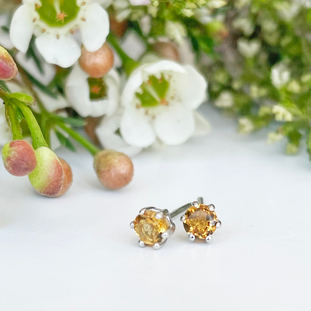 Silver Petite 6 Claw Citrine Studs