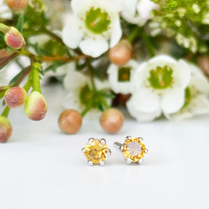 Silver Petite 6 Claw Citrine Studs