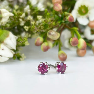 Silver Petite 6 Claw Rhodolite Studs