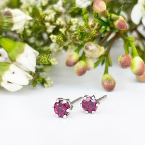 Silver Petite 6 Claw Rhodolite Studs