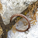 Slim Half Eternity Rose Gold Diamond Ring