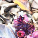 Solitaire Four Claw Emerald Cut Grape Garnet Ring