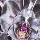 Solitaire Four Claw Oval Grape Garnet White Gold Pendant