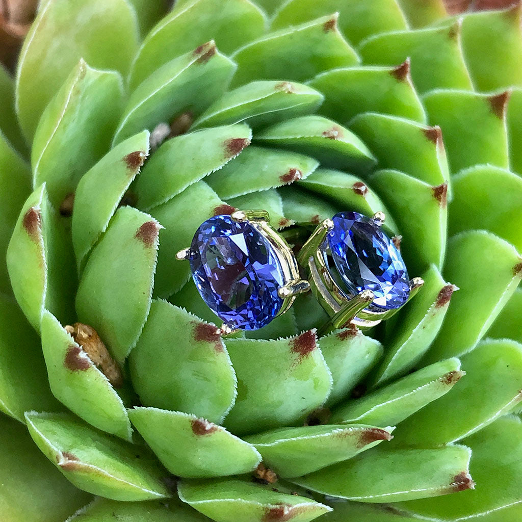 Sophisticated Oval Four Claw Tanzanite Studs