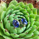 Sophisticated Oval Four Claw Tanzanite Studs