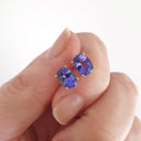 Sophisticated Oval Four Claw Tanzanite Studs