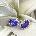 Statement Bezel Set Oval Cut Tanzanite Studs
