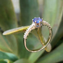 Stunning Solitaire Tanzanite with Diamond Shoulder Ring