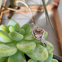 Trilliant Cut Bezel Set Morganite and Diamond Highlight Ring