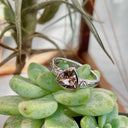 Trilliant Cut Bezel Set Morganite and Diamond Highlight Ring