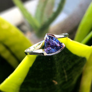 Trilliant Cut tanzanite with Twisted White Gold Band