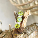 Trilogy Peridot Ring with Double Diamond Highlights