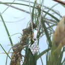 Twelve Diamond Cluster Pendant