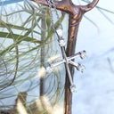 White Diamond White Gold Southern Cross