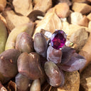 White Gold Four Claw Grape Garnet Solitaire Ring