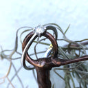 White Gold Four Claw Solitaire Diamond Ring With Closed Gallery